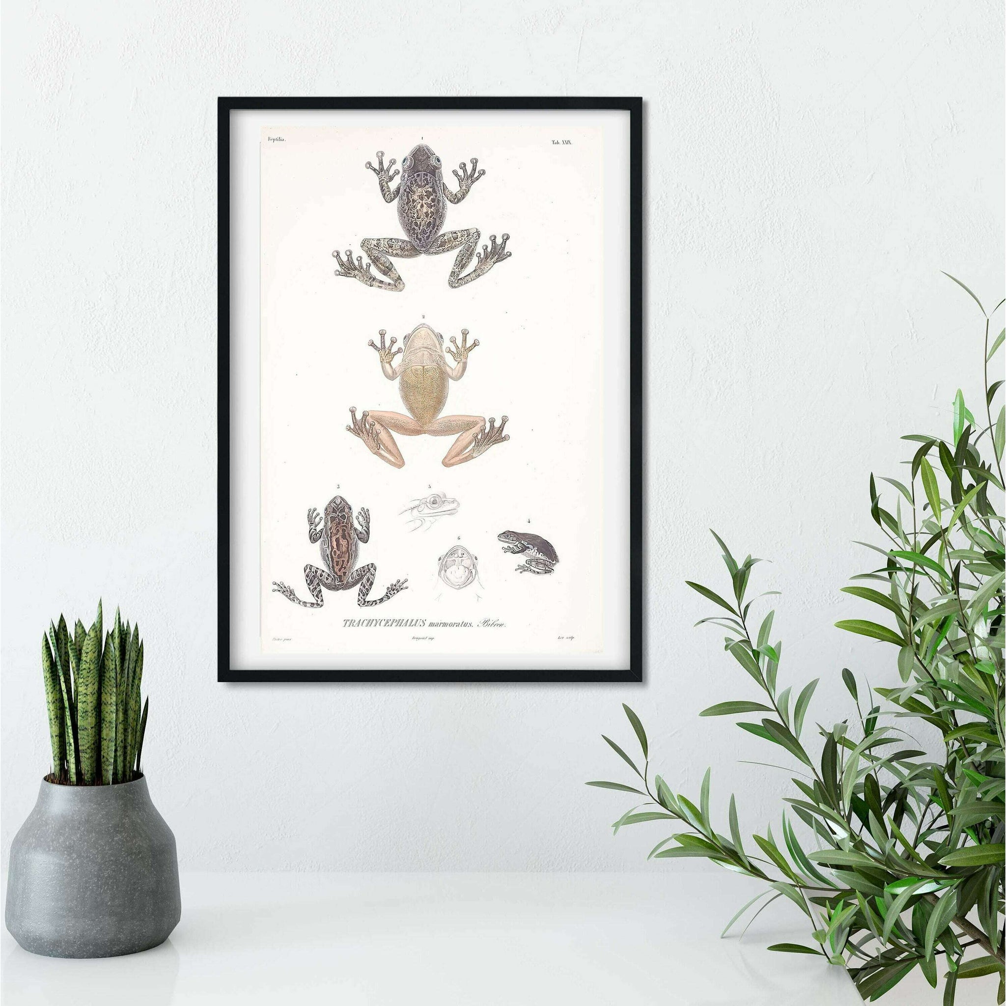 Animal Prints - LelloLiving