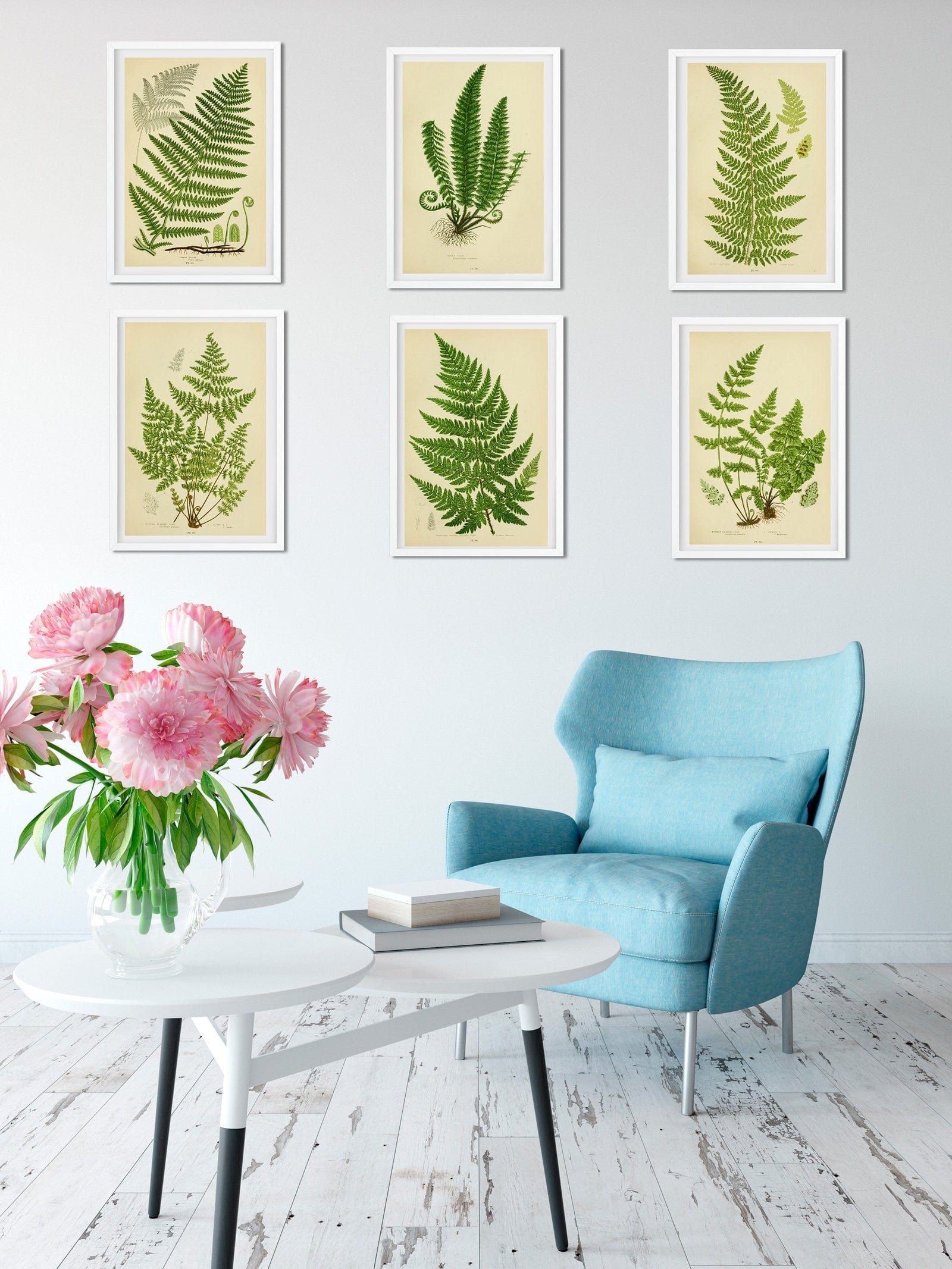 Botanical Prints – LelloLiving