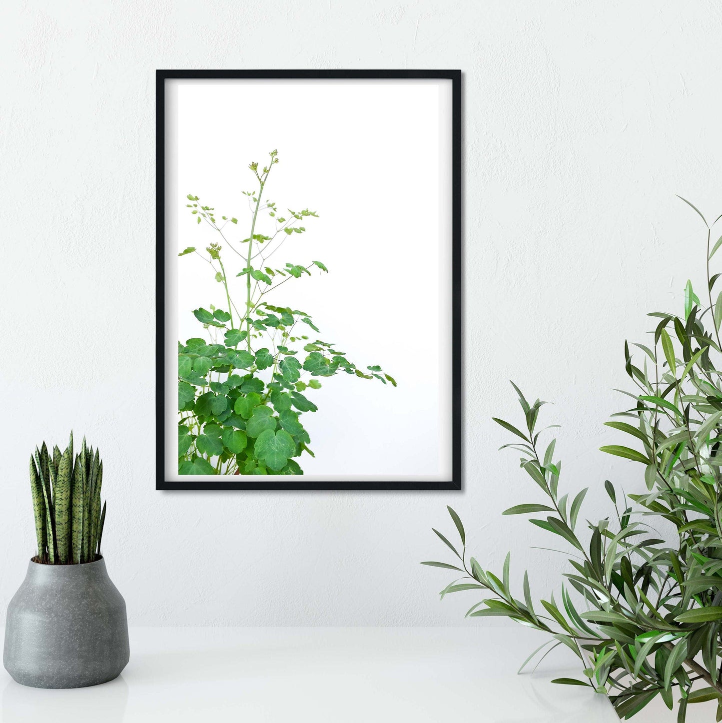 Green leaf photography print, framed botanical print