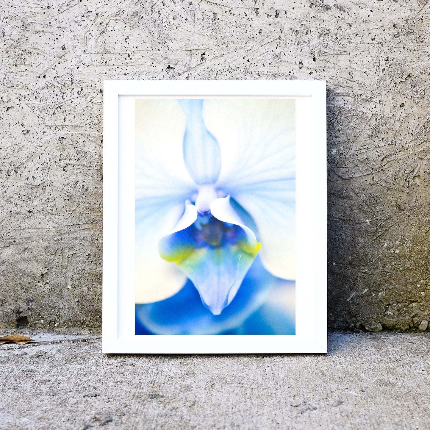 Blue Orchid, set of 3 framed prints Orchid floral art print set Photography Prints