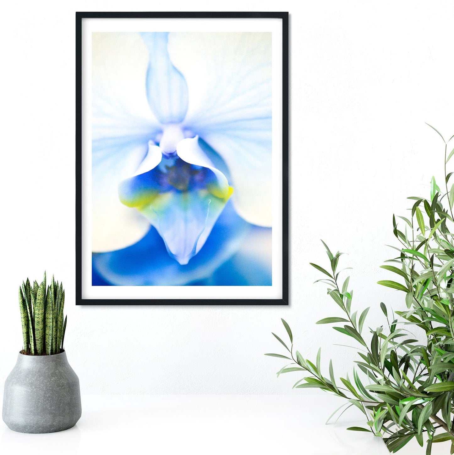 Blue Orchid, set of 3 framed prints Orchid floral art print set Photography Prints