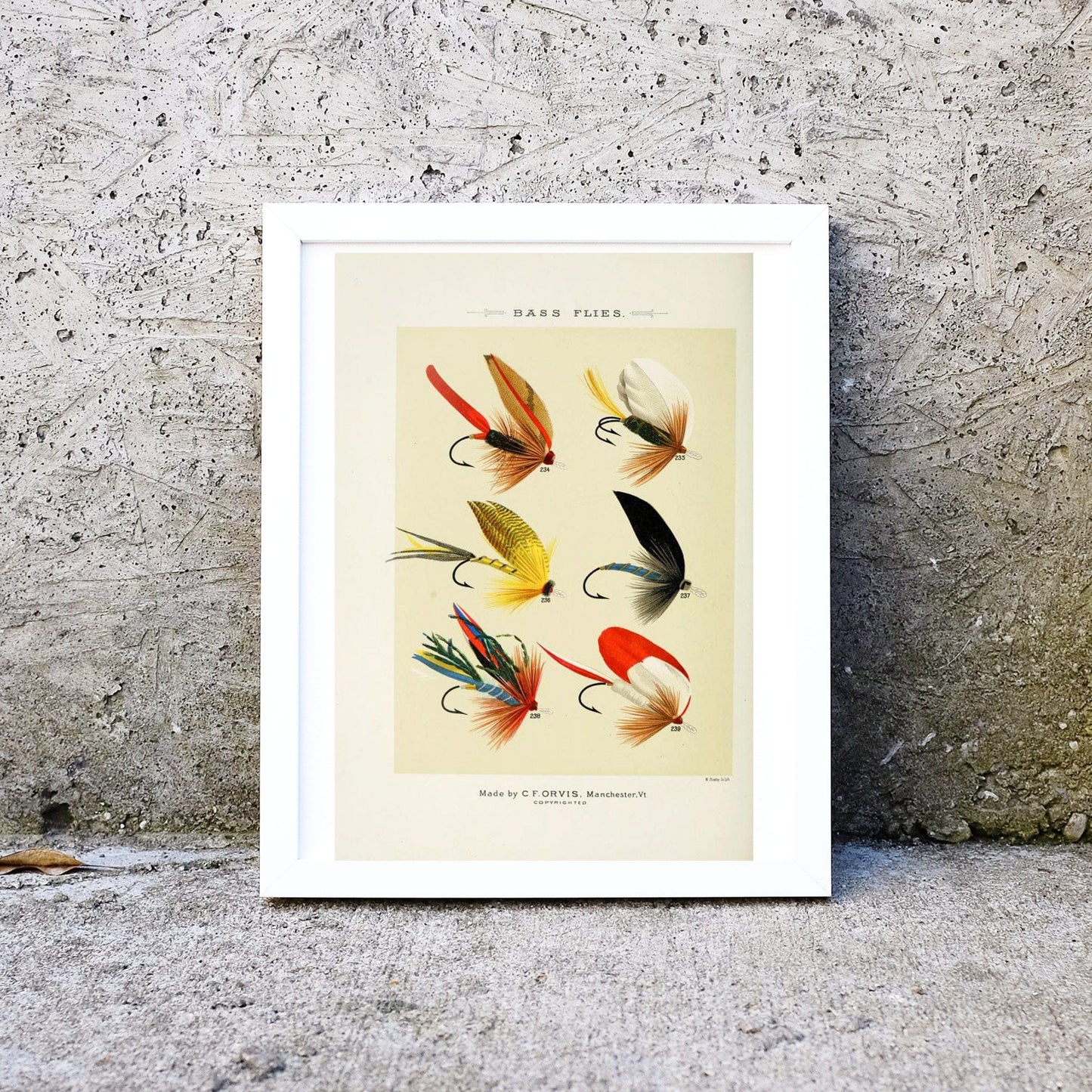 Framed Antique Fishing Bass Flies Print-Sporting fishing lure vintage prints