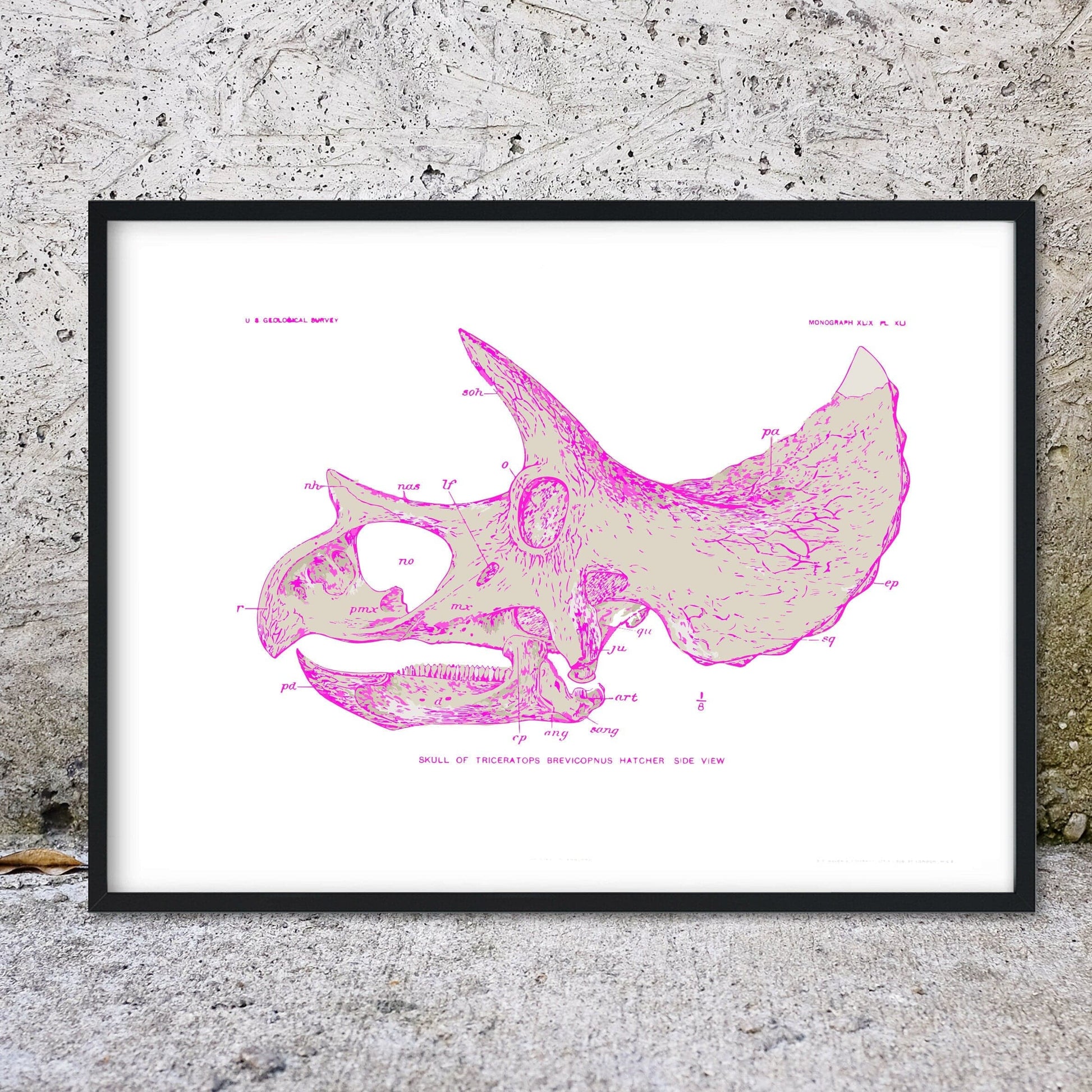 Framed Pink Triceratops skull print, dinosaur art print, Triceratops art skeleton print, dinosaur decor, dinosaur bones A4, A3, A2 Vintage Prints