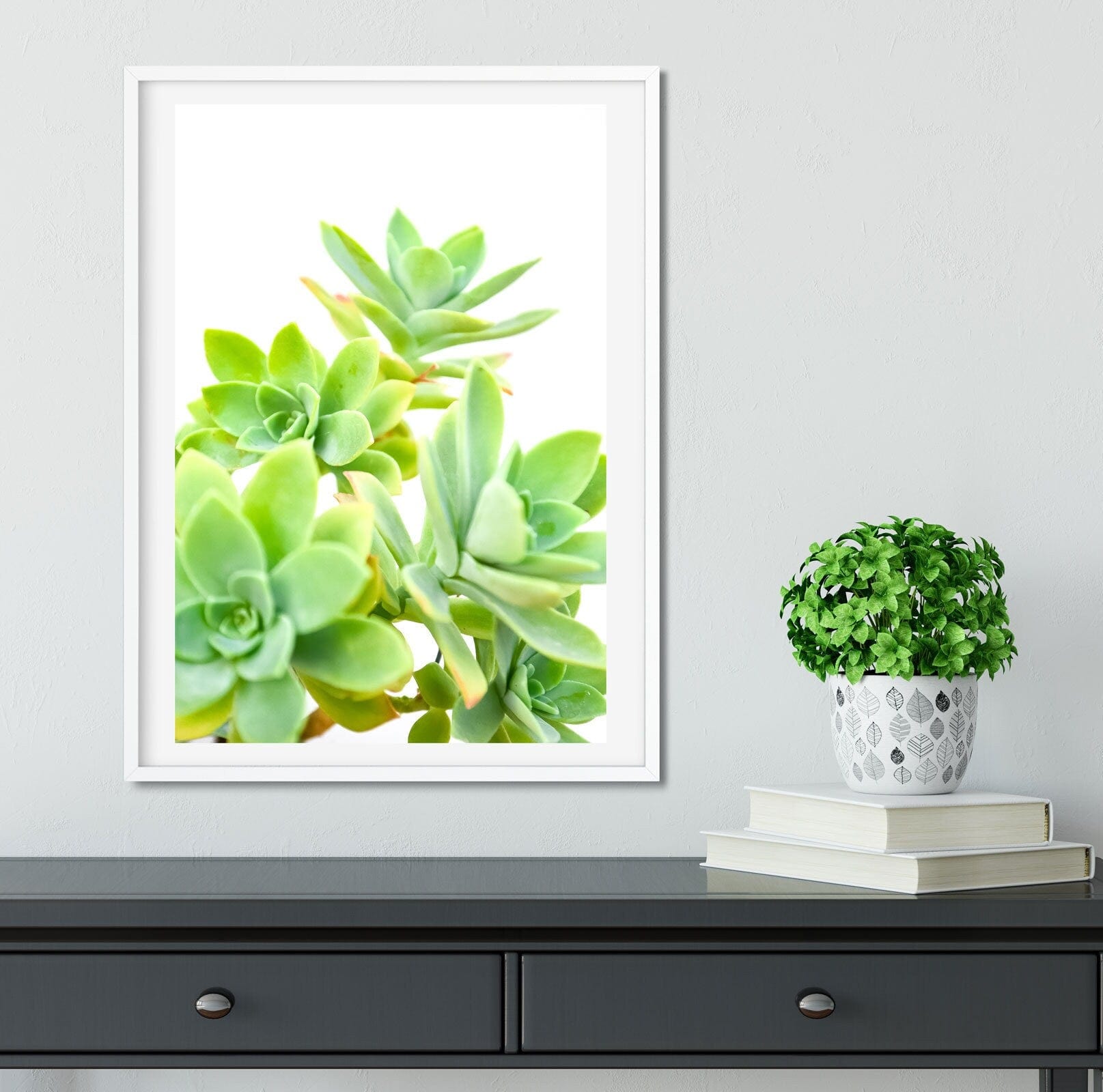 Cactus Print, Succluent print Sedum photography Framed print 3 Photography Prints