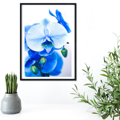 Blue Orchid, set of 3 framed prints Orchid floral art print set Photography Prints
