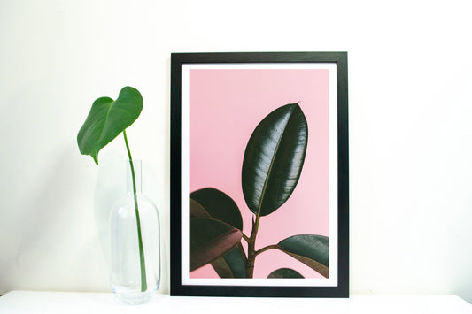 Tropical plant leaf Print, tropical leaf art framed photography print