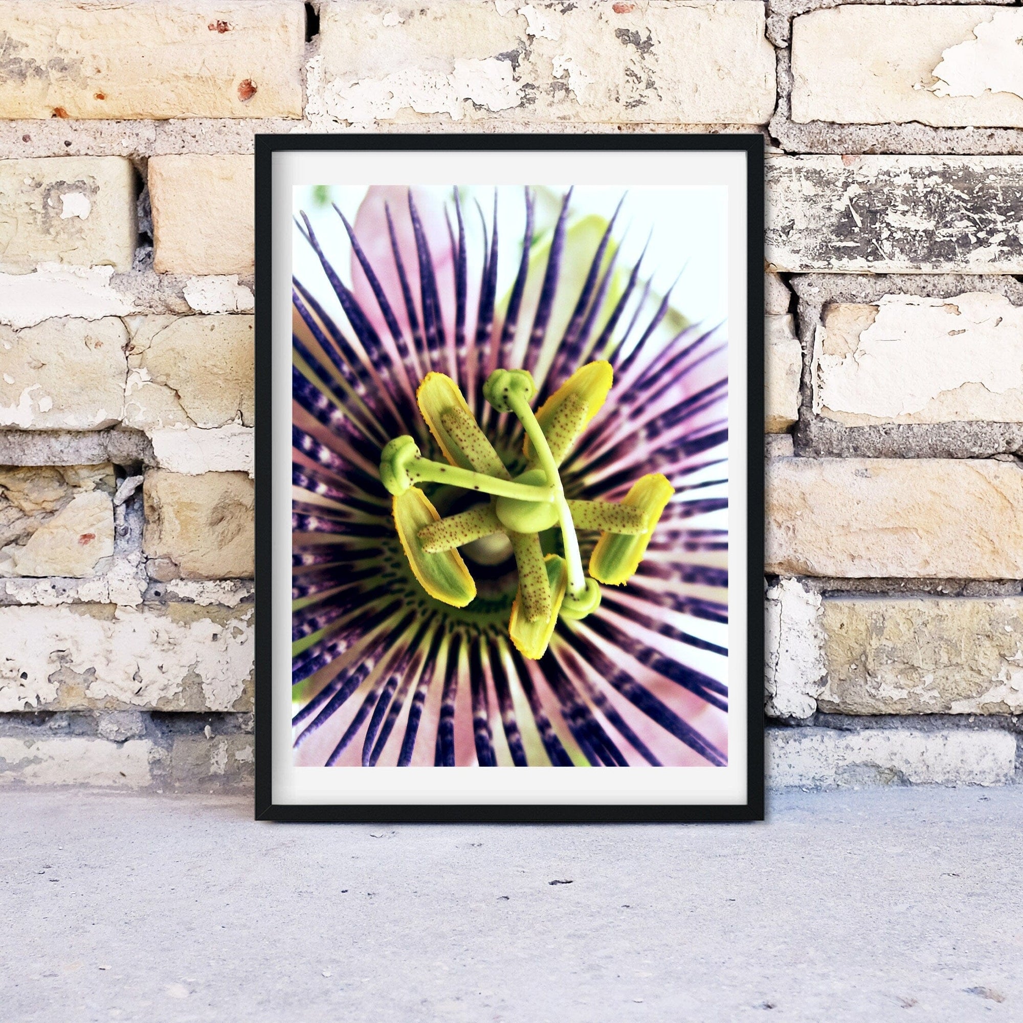 Passionflower Print, Passion flower art exotic flower photography, Passiflora Framed print, neutral flower Wall art Botanical Print