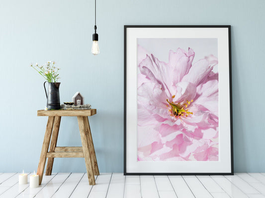 Framed pink flower Print, pink rose print, flower photography floral wall art, minimalist print pink flowers personalised print Photography Prints