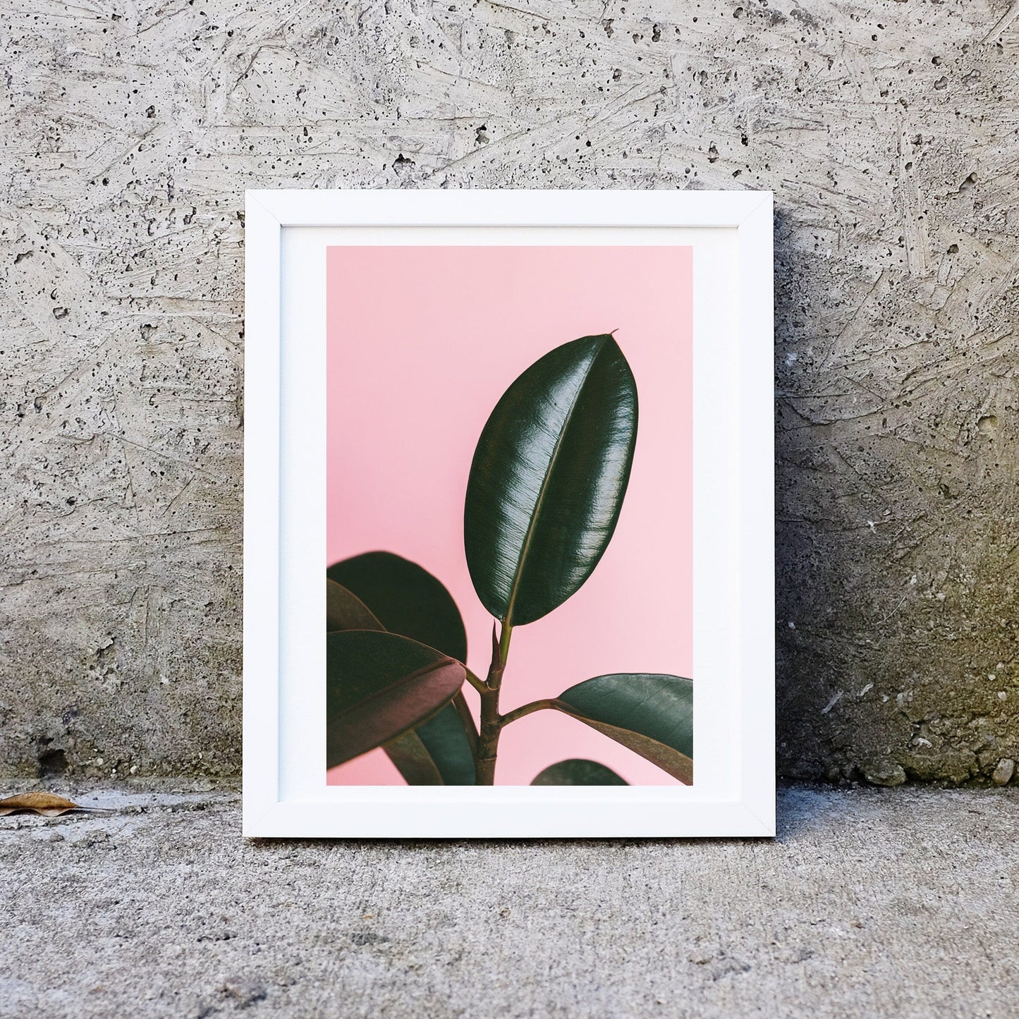 Tropical plant leaf Print, tropical leaf art framed photography print