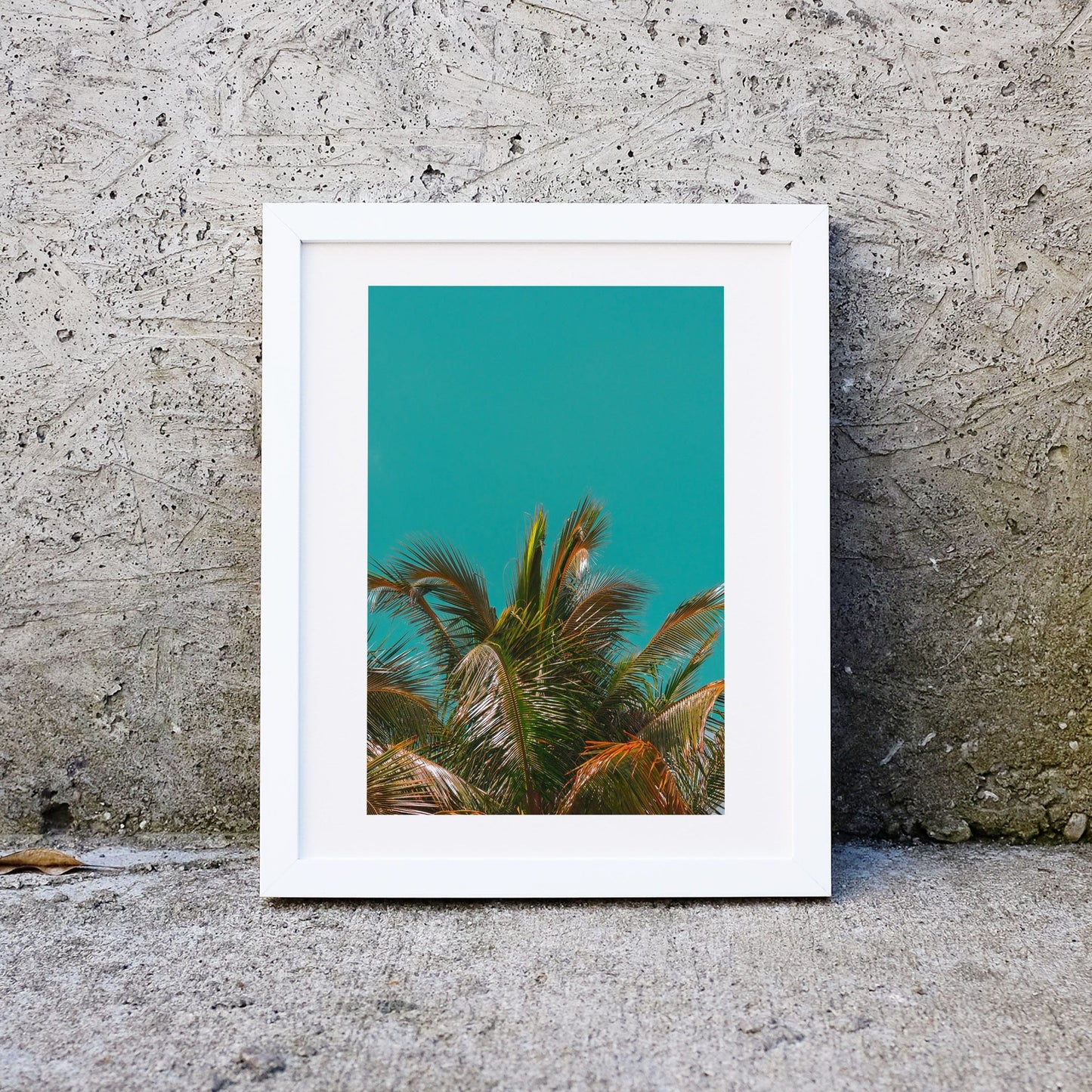 Tropical palm tree Print, botanical leaf art palm leaf print Photography Prints