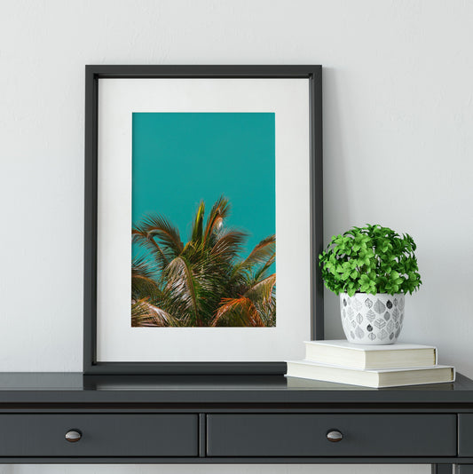 Tropical palm tree Print, botanical leaf art palm leaf print Photography Prints