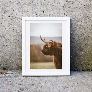 Framed Set of 3 prints highland cow print gallery wall art set, highland cow art photography print set Photography Prints