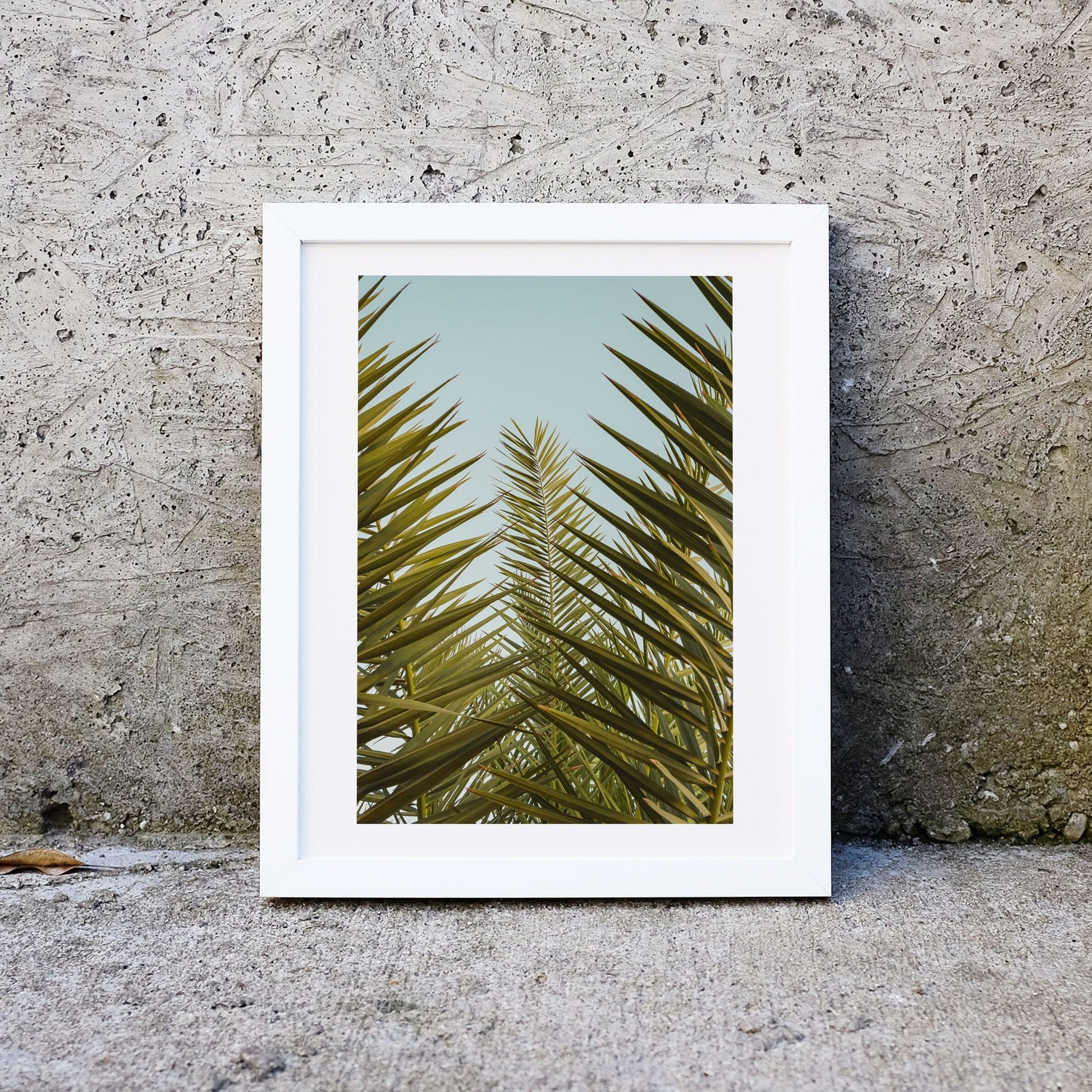 Set of 6 palm tree prints, gallery wall art set photography print set