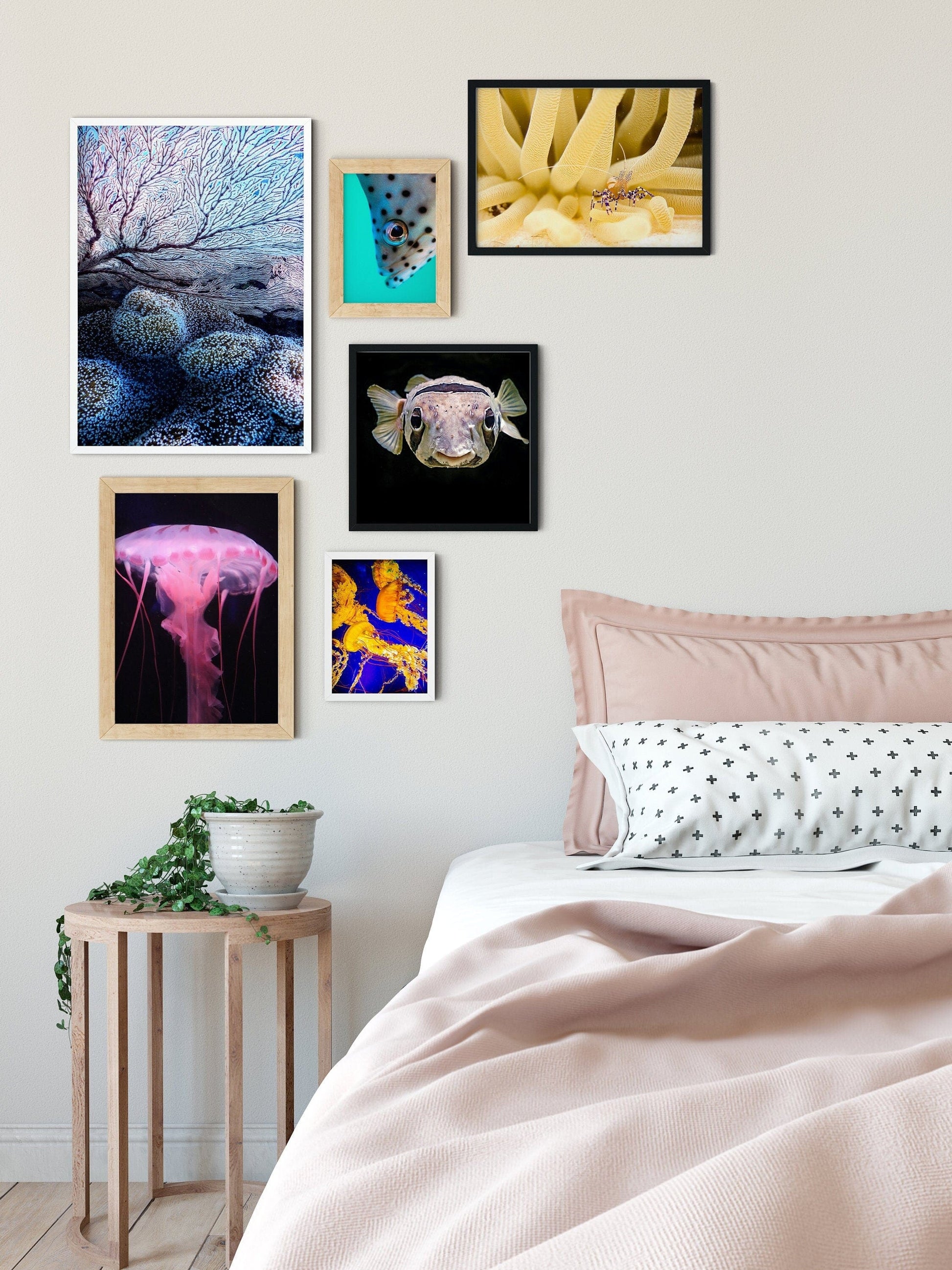 Set of 6 marine fish print jellyfish print and marine prints, gallery wall set