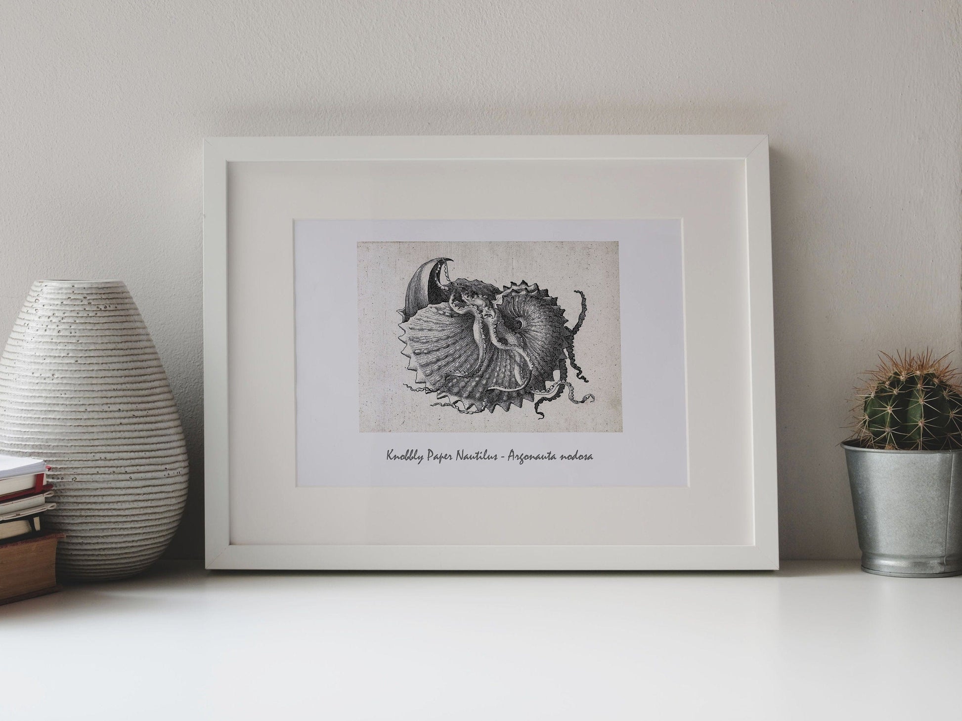 Digital Download Shell Nautilus seashell drawing nautical printable