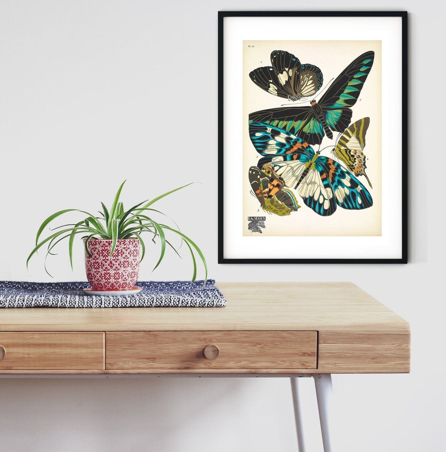 Set of 3 Framed Vintage Butterfly prints, antique butterfly art print art deco prints butterfly wall art antique nature print