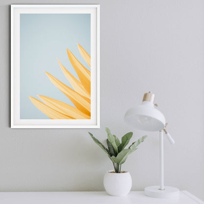 Modern Minimalist flower Print, abstract flower art photography print, minimalist art, blue and yellow flower photograph simple flower print