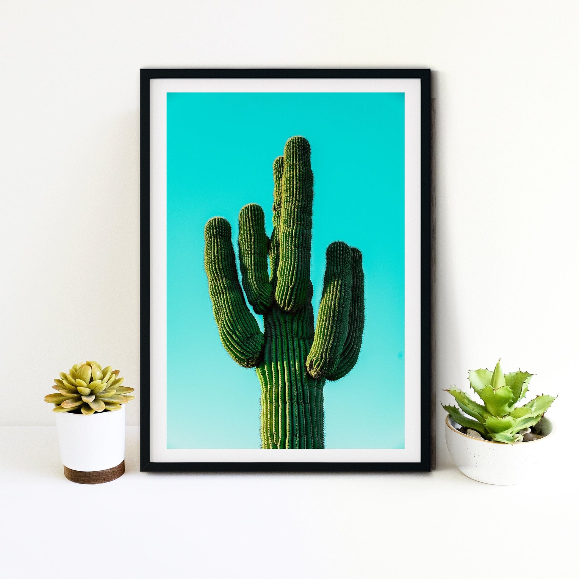 Cactus Photography Print, Desert cactus Wall Art, cactus print photography print