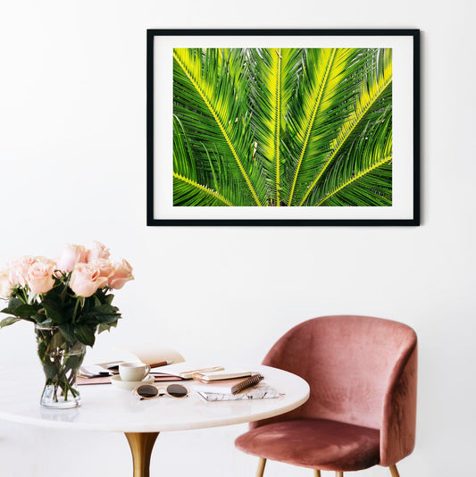 Palm print, minimalist photography palm leaf print, palm tree poster