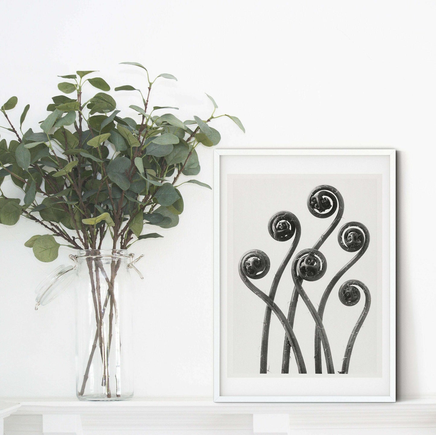 Fern Print, black and white framed prints fern photography, Blossfeldt botanical prints