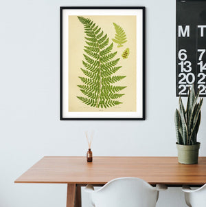 Framed Green Fern Print, vintage fern botanical leaf prints 4 of 6 botanical prints botanical print