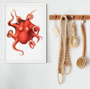 Octopus Print Framed print, Scientific Octopus Wall Art nautical bathroom print Vintage Animal Prints