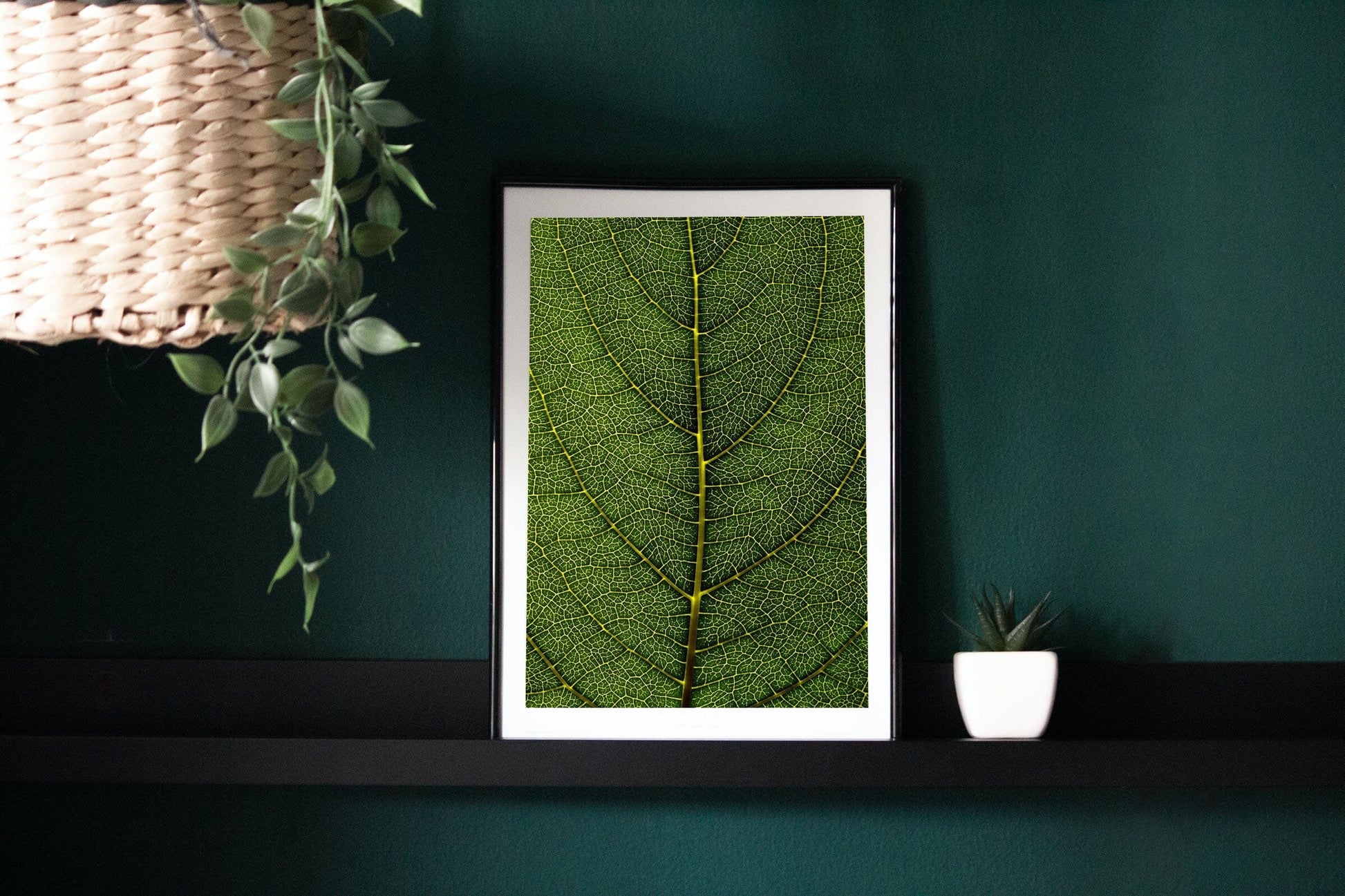 Digital Download tropical green leaf printable poster instant download