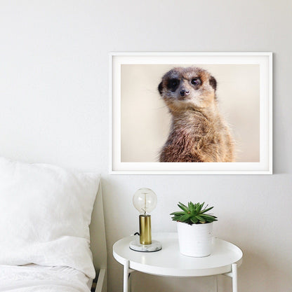 Framed Minimalist Meerkat Print, Meerkat wall Art for kids room, Modern Meerkat art print, personalised nursery animal photography print Photography Prints