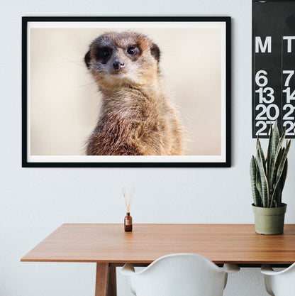 Framed Minimalist Meerkat Print, Meerkat wall Art for kids room, Modern Meerkat art print, personalised nursery animal photography print Photography Prints