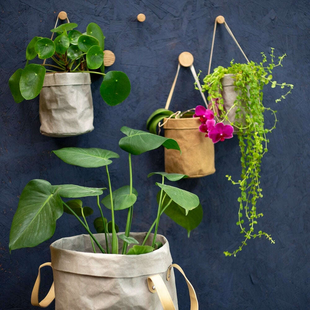 Brown Hanging paper planter, wall hanging indoor hanging planters