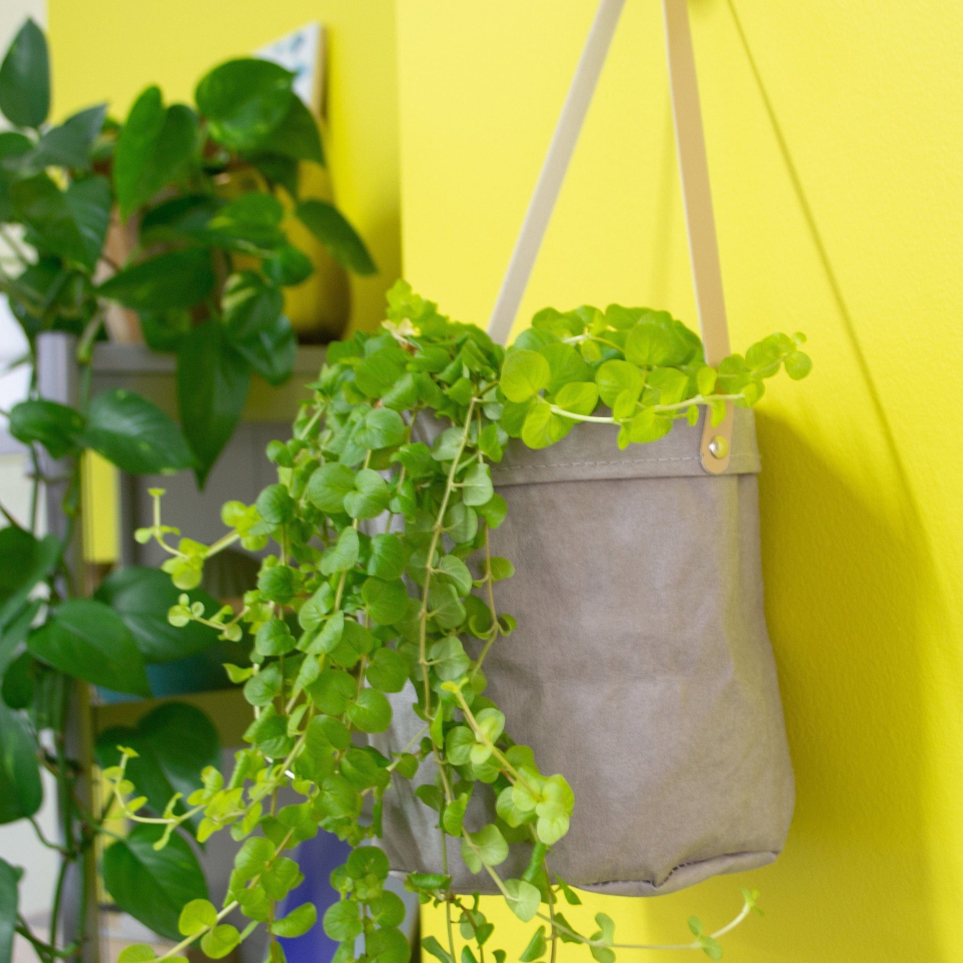 Grey paper indoor Hanging planter, minimalist eco wall hanging planter