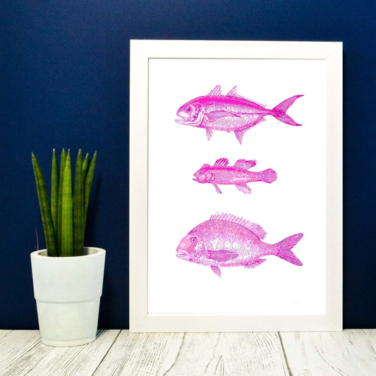 Pink Antique Fish Print, scientific drawing fish Poster, Pink fish Print