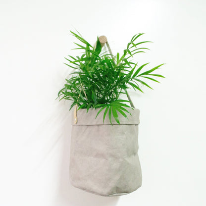 Grey paper indoor Hanging planter, minimalist eco wall hanging planter