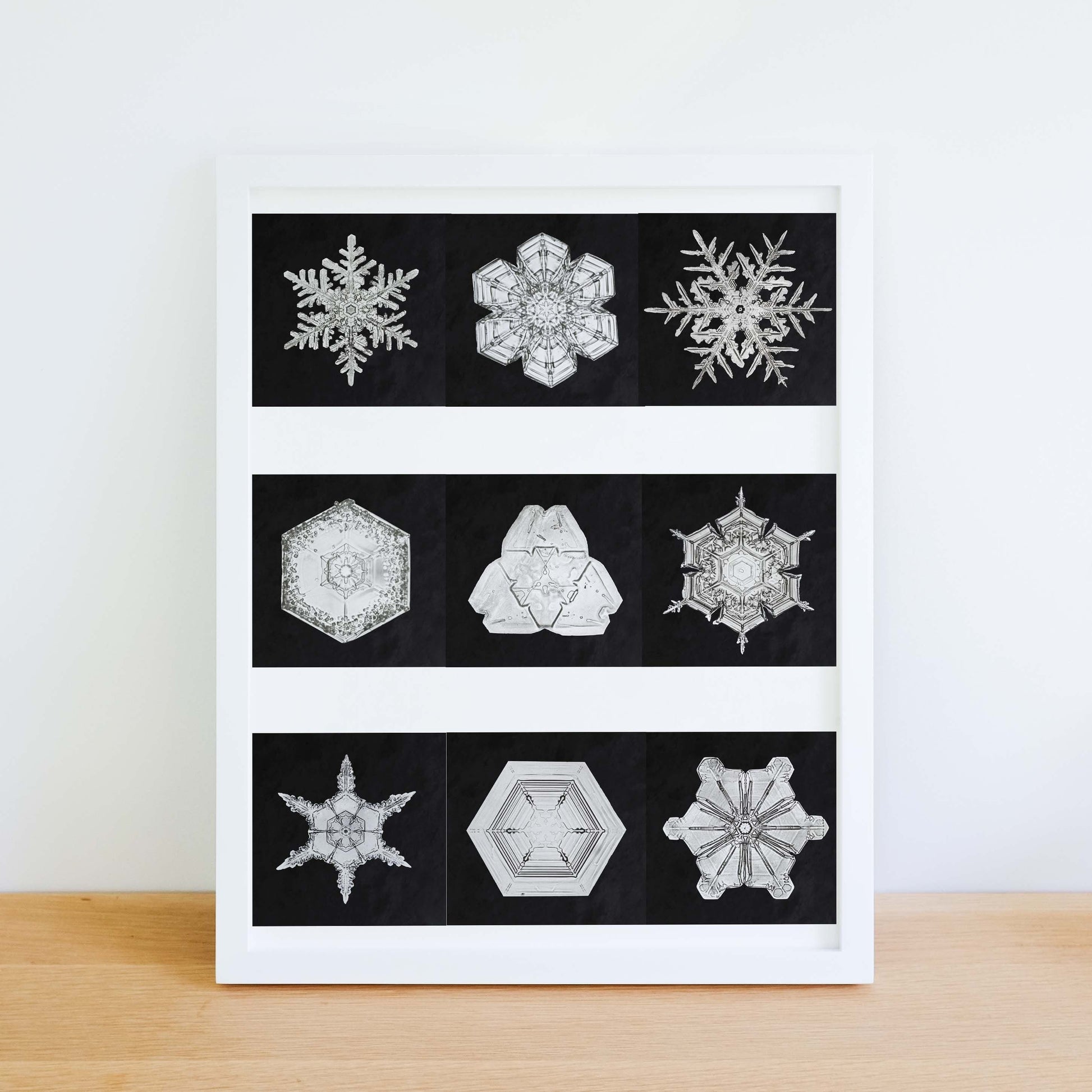 Black & White framed prints, Photography Snowflake poster Vintage Photography Prints