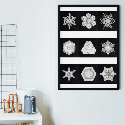 Black & White framed prints, Photography Snowflake poster Vintage Photography Prints