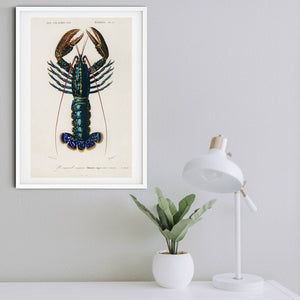 Framed Lobster Print, Vintage lobster poster Vintage Animal Prints