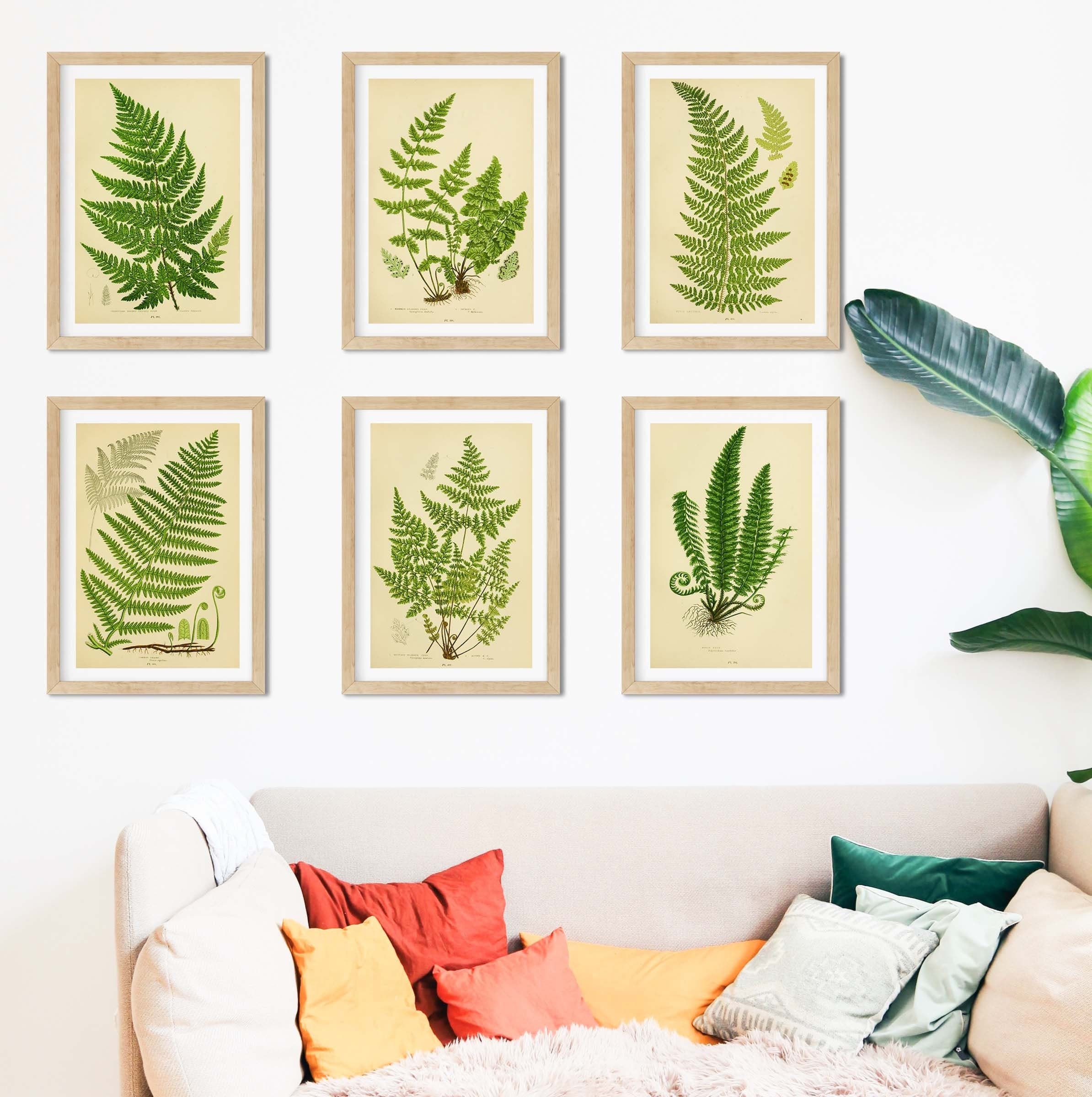 Fern Print set of 2, Botanical outlet Art Print, Taupe Ferns Plant, Nature Illustration, Fern Home Decor, Fern Wall Decor, Fern Art