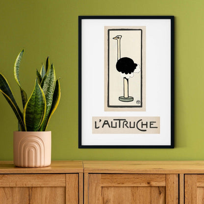 Vintage Ostrich Print L'autruche French Ostrich Bird art print