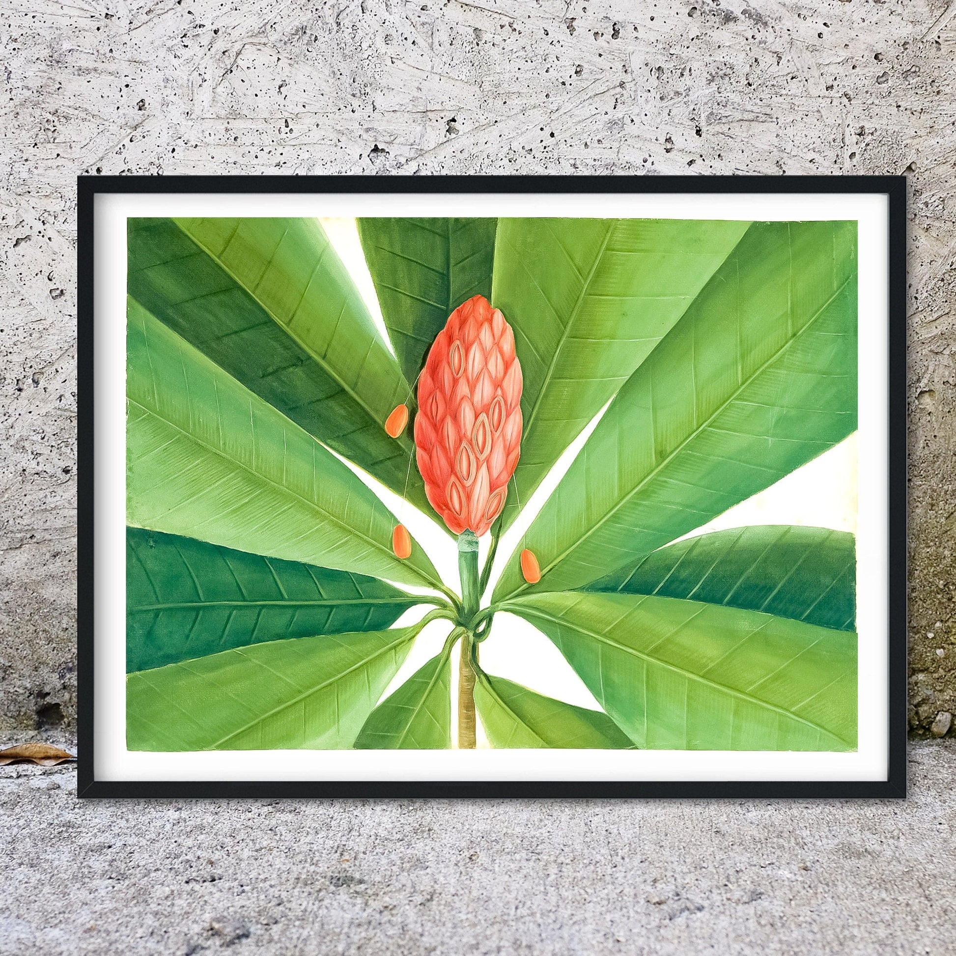 Tropical Leaf Botanical Illustration Print botanical prints