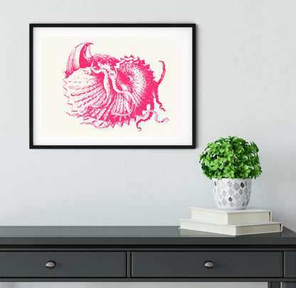 Recoloured Pink Nautilus vintage seashell drawing minimalist print shell prints