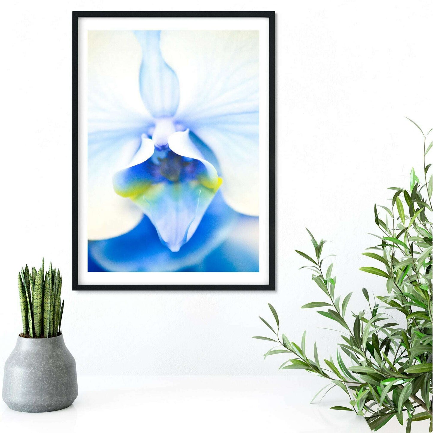 Orchid print, Blue Flower Art Macro Photography Print Photography Prints