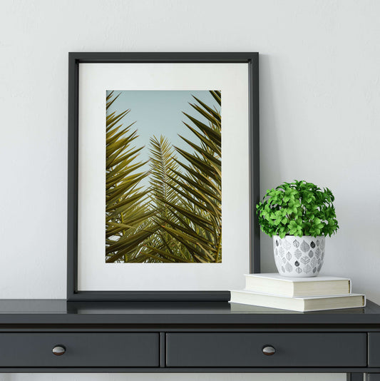 Palm leaves minimalist palm photograph leaf print Photography Prints