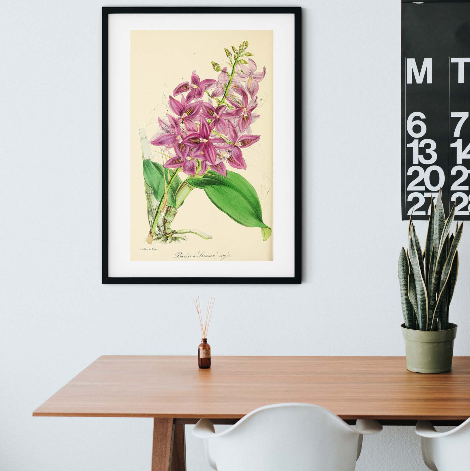 Pink Orchid Flower art, Antique Framed Botanical Prints botanical print