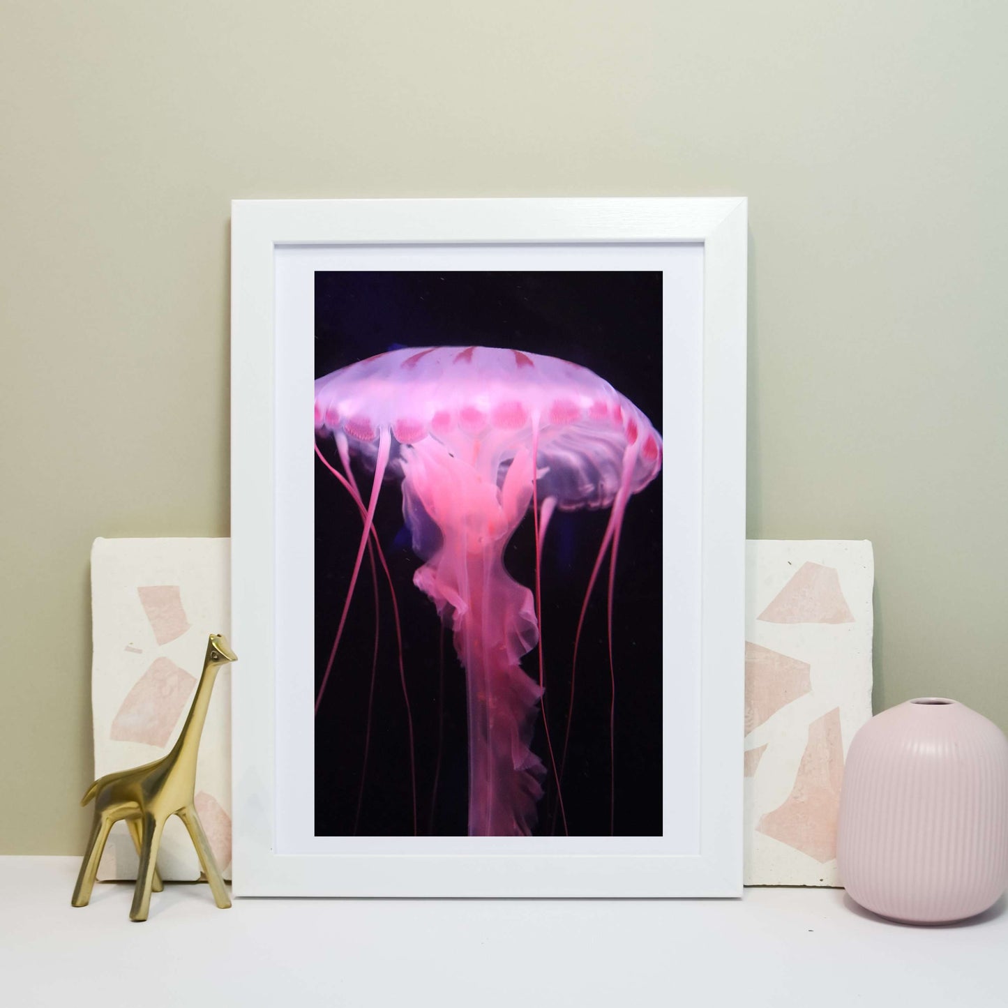 Pink Jellyfish on black photography print Photography Prints
