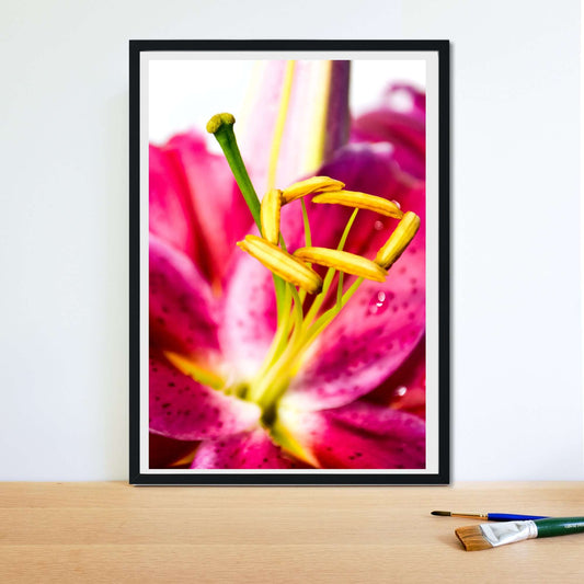 Pink tiger lilly minimalist photography print 1 Photography Prints