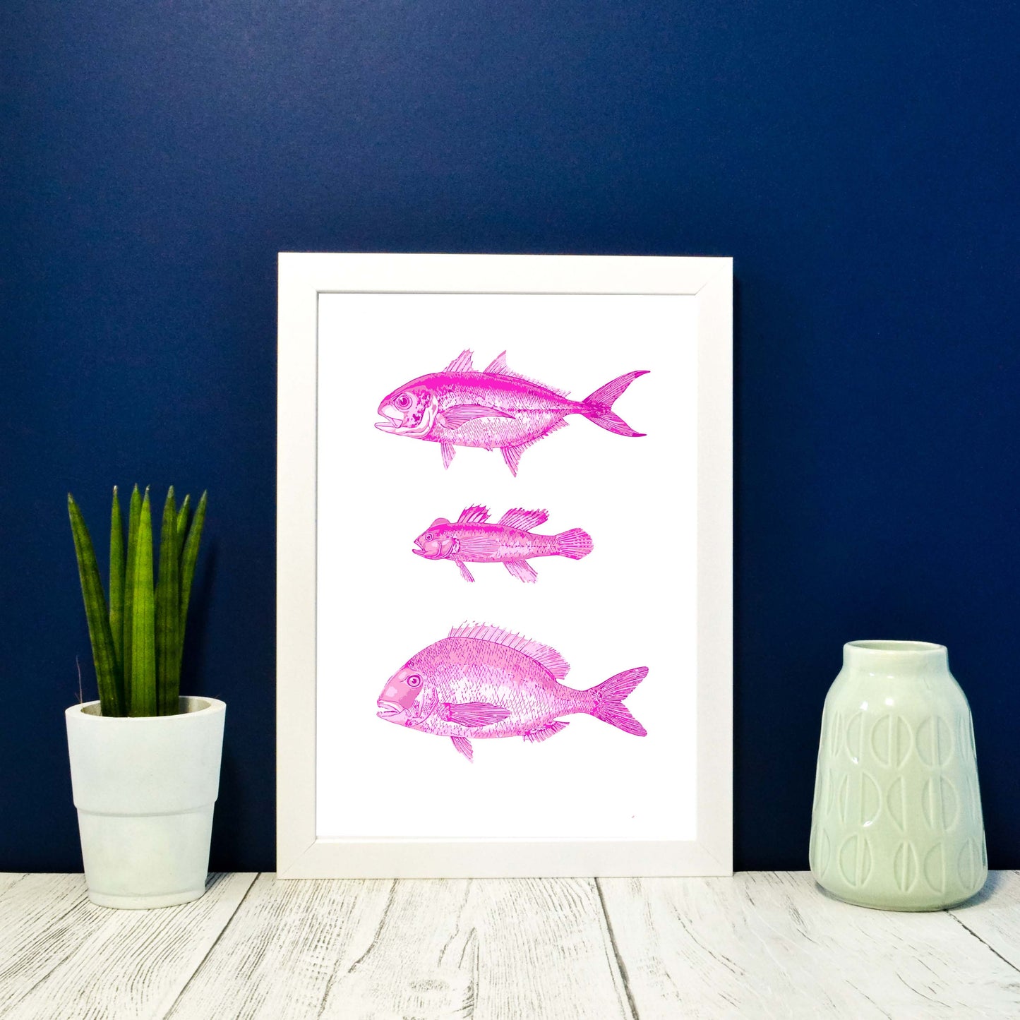 Recoloured Pink vintage fish scientific print Vintage Animal Prints