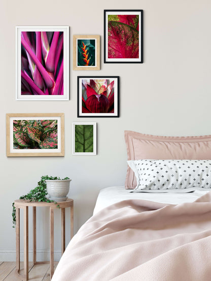 Abstract botanical Print, Purple tropical plant photography Photography Prints
