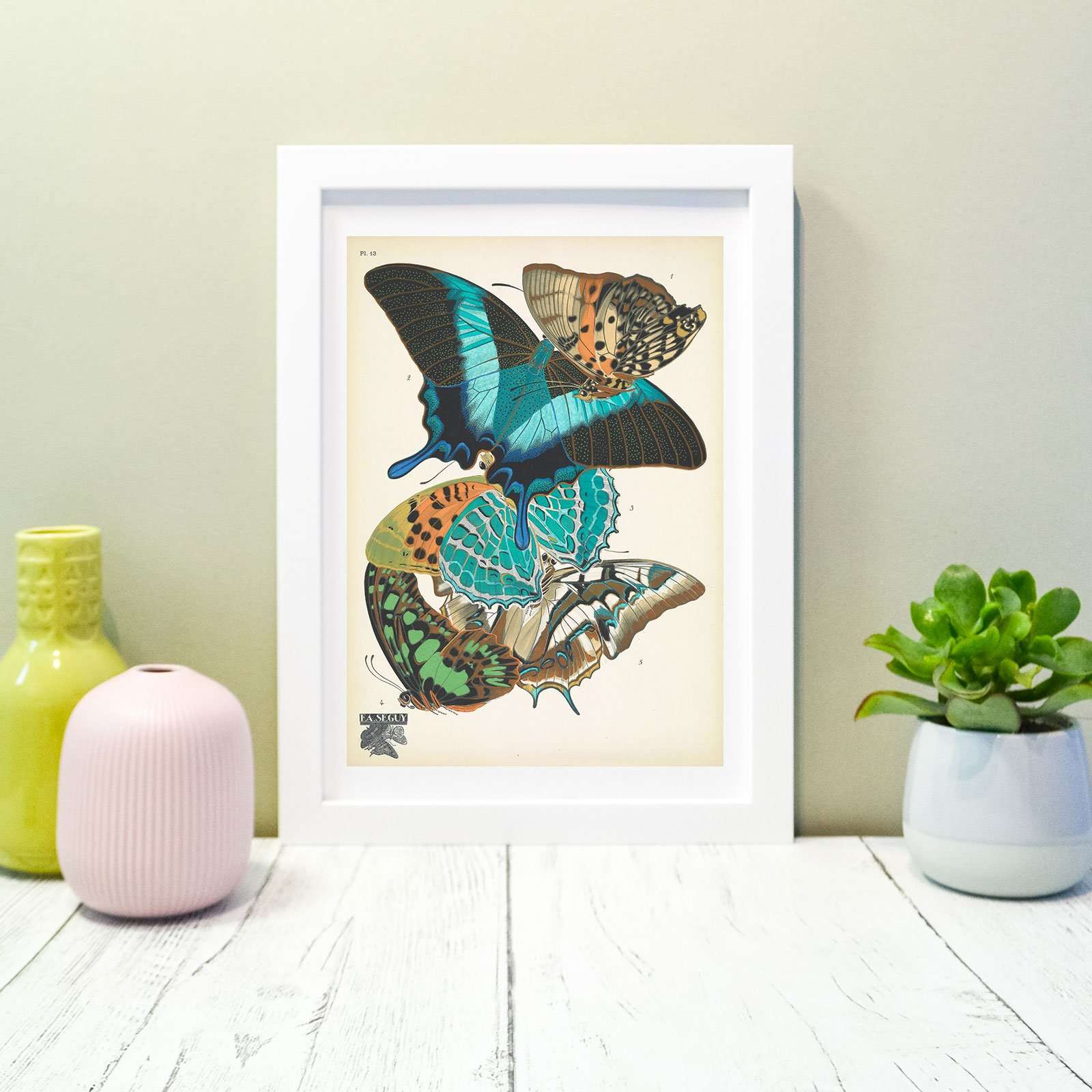 Sef of 6 vintage butterflies natural history prints 2 Vintage Animal Prints