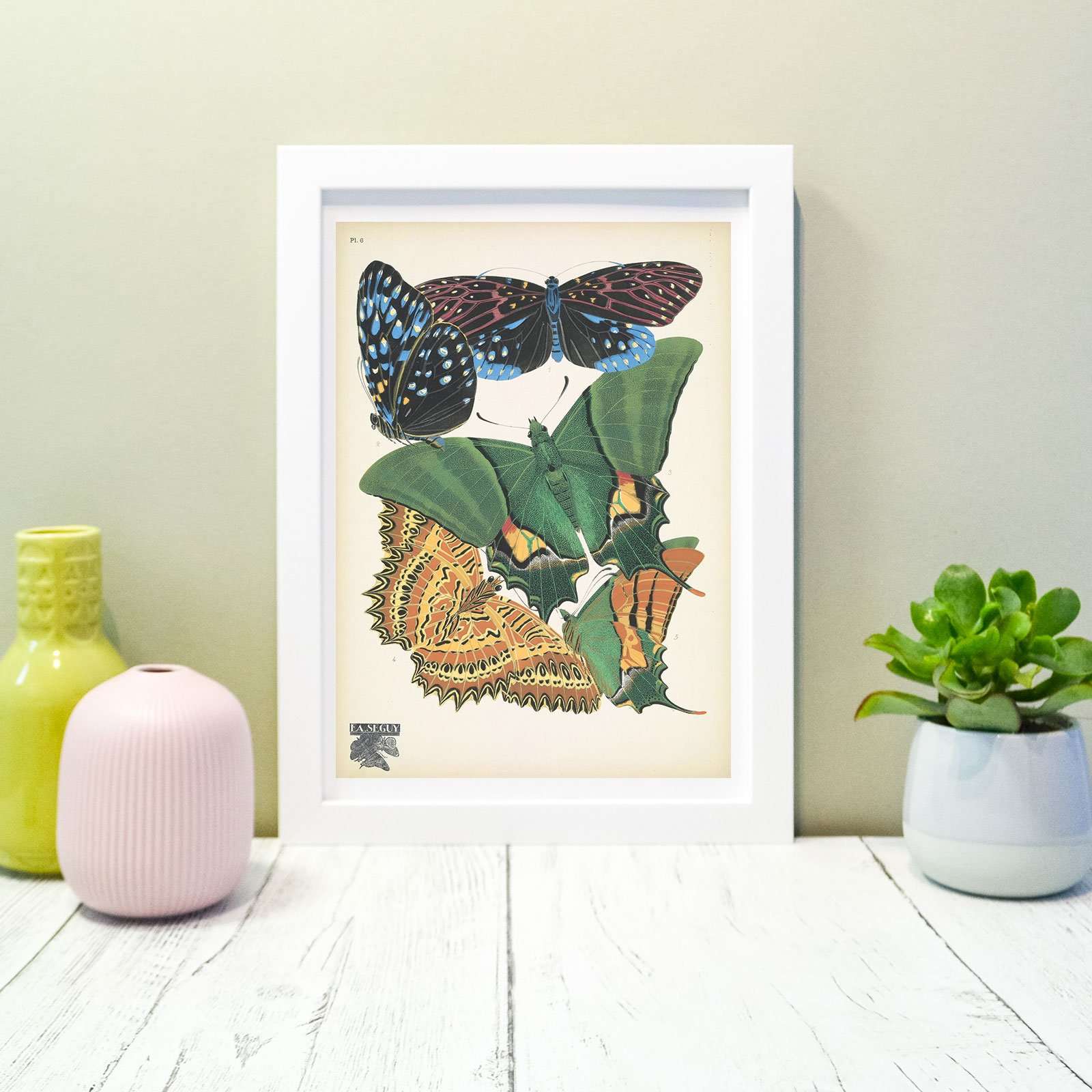 Sef of 6 vintage butterflies natural history prints 2 Vintage Animal Prints