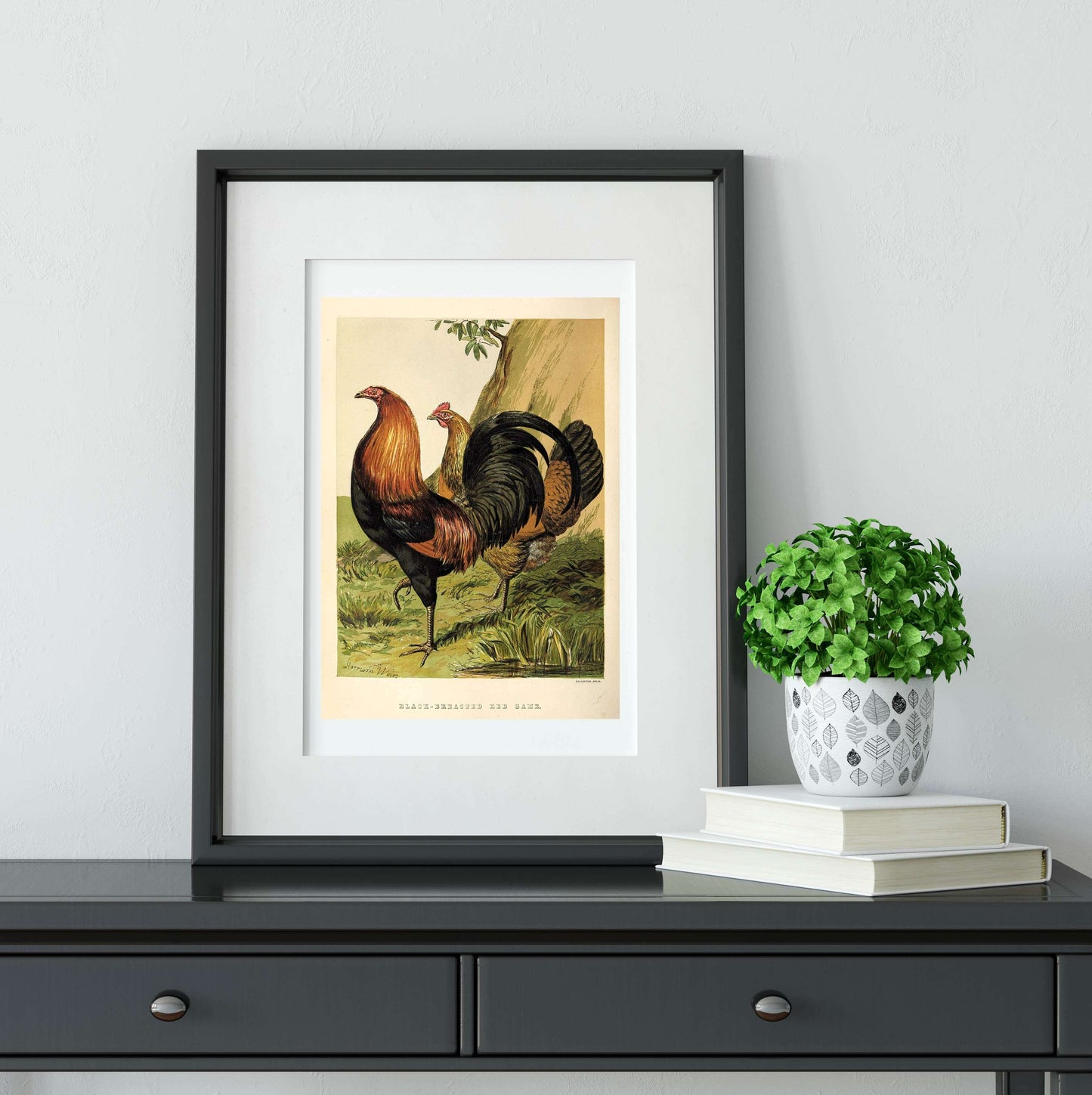 Set of 6 vintage chicken prints, set of vintage bird art prints Vintage Animal Prints